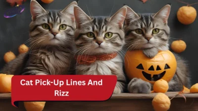 Cat Pick-Up Lines And Rizz