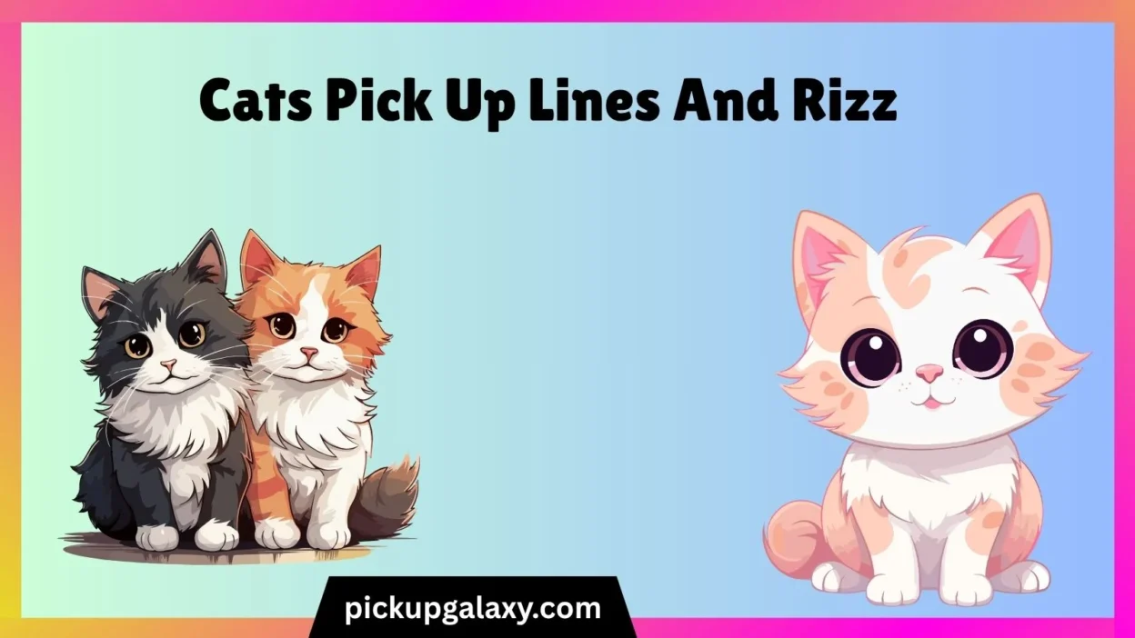 Cats Pick Up Lines And Rizz