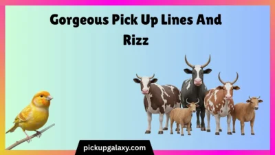 Gorgeous Pick Up Lines And Rizz